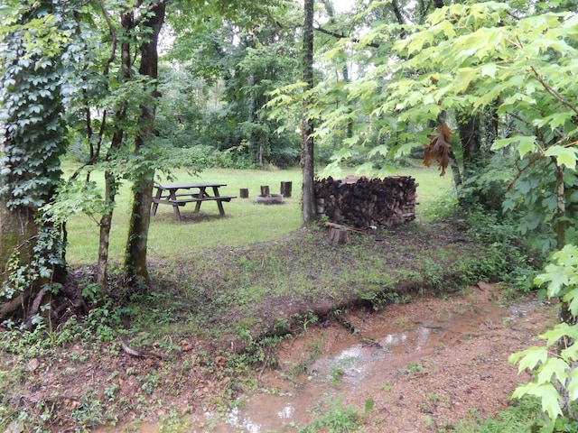 321 Ian Dr, Clifton, TN 38425