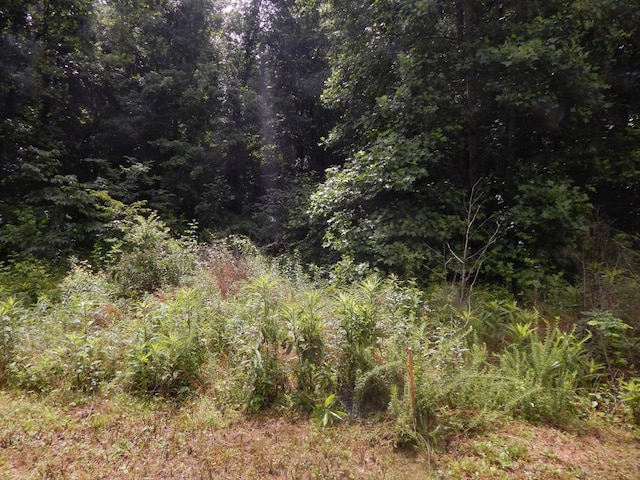321 Ian Dr, Clifton, TN 38425