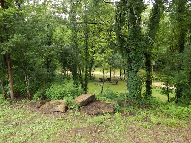 321 Ian Dr, Clifton, TN 38425