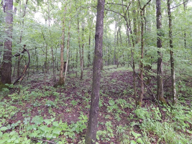 321 Ian Dr, Clifton, TN 38425