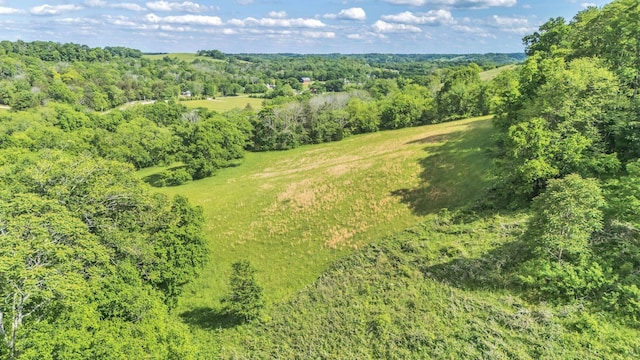 2 Fly Rd, Santa Fe, TN 38482
