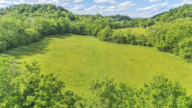 2 Fly Rd, Santa Fe, TN 38482