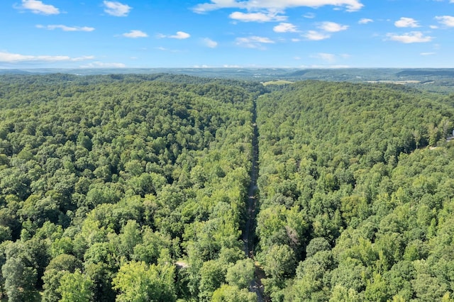 0 Teal Hollow Rd, Kelso, TN 37348 - photo 15