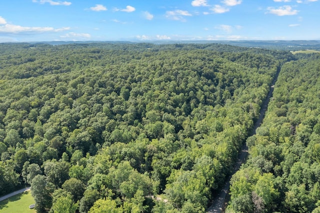 0 Teal Hollow Rd, Kelso, TN 37348 - photo 17