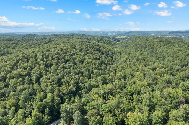 0 Teal Hollow Rd, Kelso, TN 37348 - photo 16