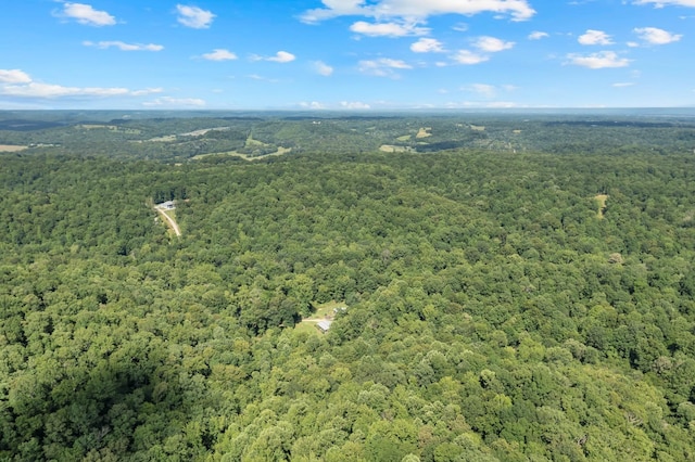 0 Teal Hollow Rd, Kelso, TN 37348 - photo 28