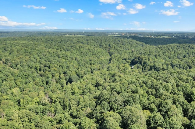 0 Teal Hollow Rd, Kelso, TN 37348 - photo 22