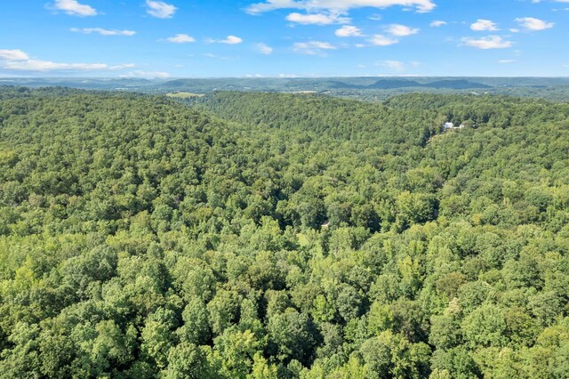 0 Teal Hollow Rd, Kelso, TN 37348 - photo 19