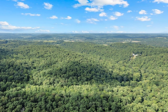 0 Teal Hollow Rd, Kelso, TN 37348 - photo 29