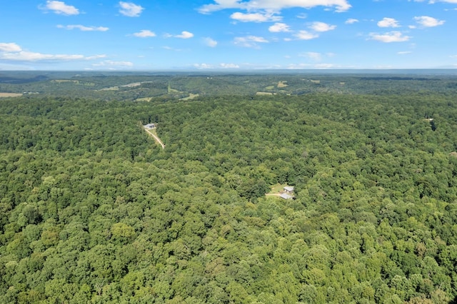 0 Teal Hollow Rd, Kelso, TN 37348 - photo 25