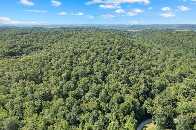 0 Teal Hollow Rd, Kelso, TN 37348 - photo 18