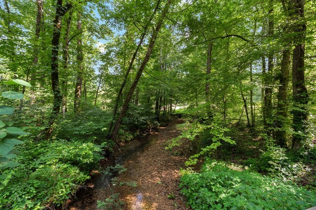 0 Teal Hollow Rd, Kelso, TN 37348 - photo 3