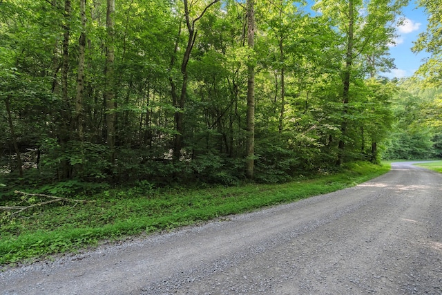 0 Teal Hollow Rd, Kelso, TN 37348 - photo 2