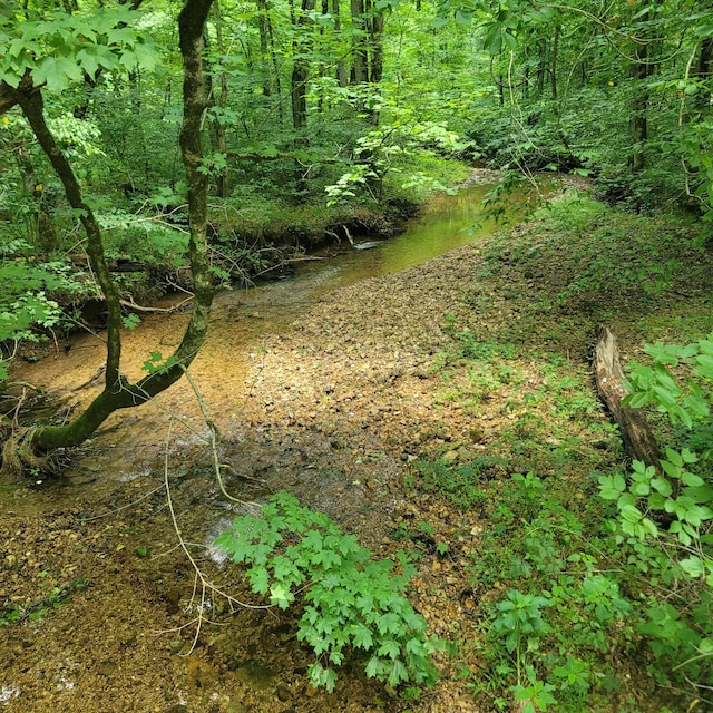 0 Teal Hollow Rd, Kelso, TN 37348 - photo 5
