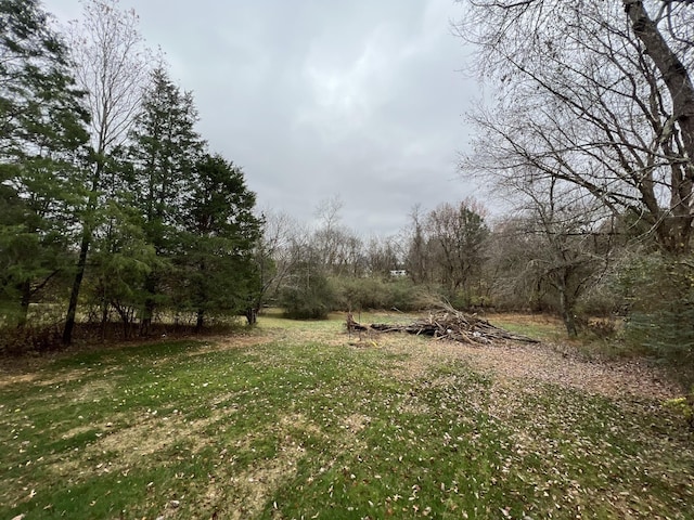 232 Twin Cove Dr, Lebanon, TN 37087 - view of yard