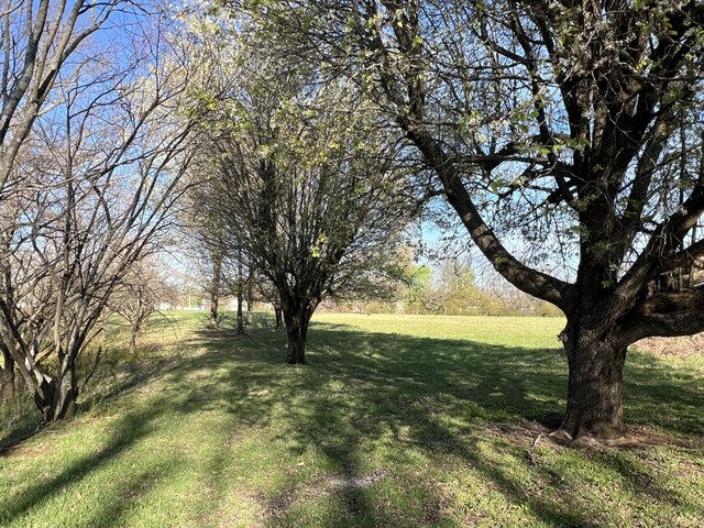 504 N Russell St, Portland, TN 37148 - photo 10