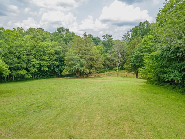 2936 Greens Mill Rd, Spring Hill, TN 37174 - photo 45