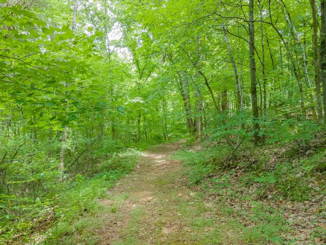 2936 Greens Mill Rd, Spring Hill, TN 37174 - photo 49