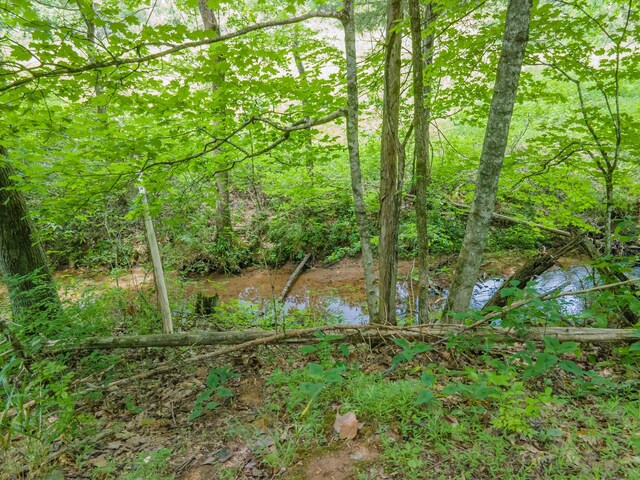 2936 Greens Mill Rd, Spring Hill, TN 37174 - photo 47