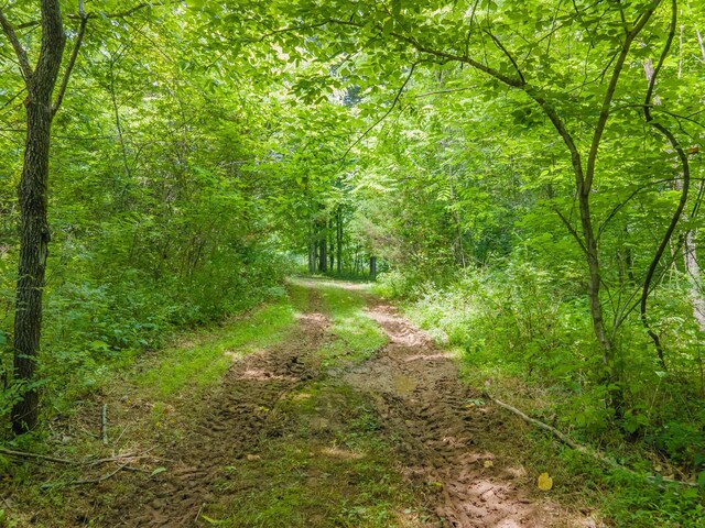 2936 Greens Mill Rd, Spring Hill, TN 37174 - photo 50