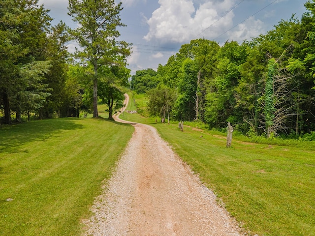 2936 Greens Mill Rd, Spring Hill, TN 37174 - photo 53