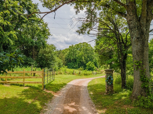 2936 Greens Mill Rd, Spring Hill, TN 37174 - photo 4