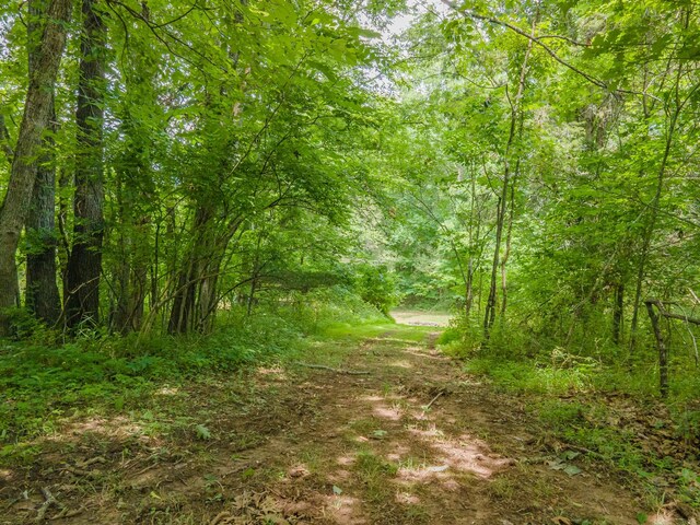 2936 Greens Mill Rd, Spring Hill, TN 37174 - photo 51
