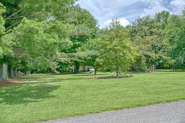 3570 Golden Mountain Rd NE, Sparta, TN 38583 - photo 42