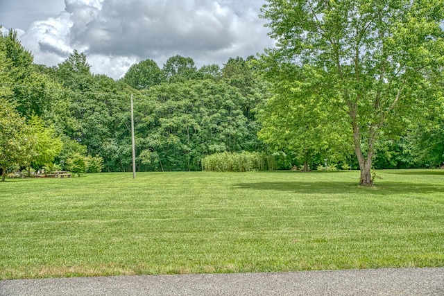 3570 Golden Mountain Rd NE, Sparta, TN 38583 - photo 44
