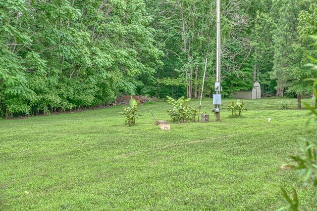 3570 Golden Mountain Rd NE, Sparta, TN 38583 - photo 46