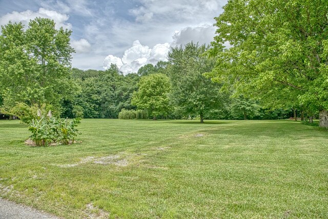 3570 Golden Mountain Rd NE, Sparta, TN 38583 - photo 45