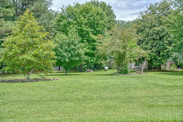 3570 Golden Mountain Rd NE, Sparta, TN 38583 - photo 3