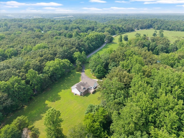 191 Spicer Rd, Burns, TN 37029 - aerial view of a heavily wooded area