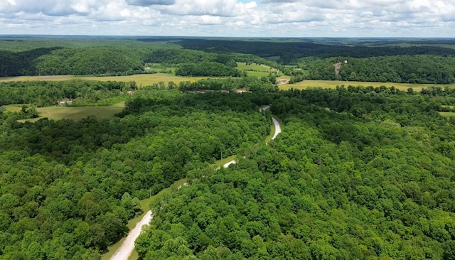 0 Three Rivers Dr, Hurricane Mills, TN 37078