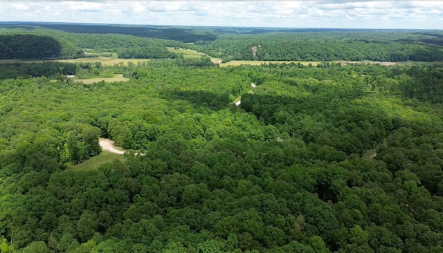 0 Three Rivers Dr, Hurricane Mills, TN 37078