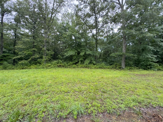 0 Three Rivers Dr, Hurricane Mills, TN 37078