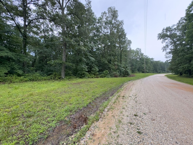 0 Three Rivers Dr, Hurricane Mills, TN 37078