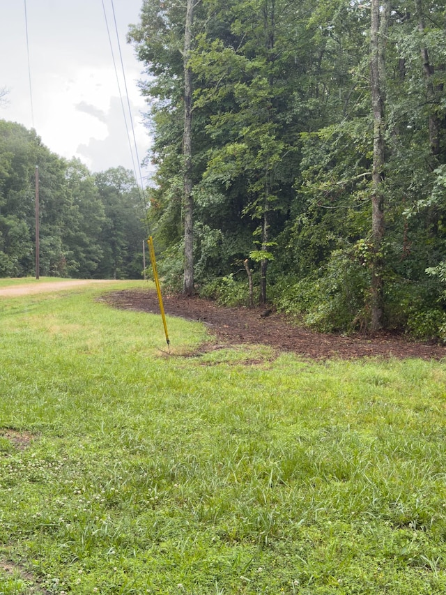 0 Three Rivers Dr, Hurricane Mills, TN 37078