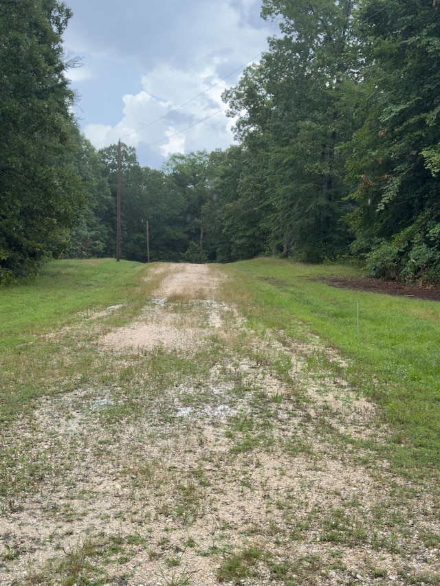 0 Three Rivers Dr, Hurricane Mills, TN 37078