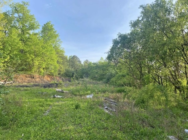 4421 Leeco Rd, Wendover, KY 41775 - photo 1