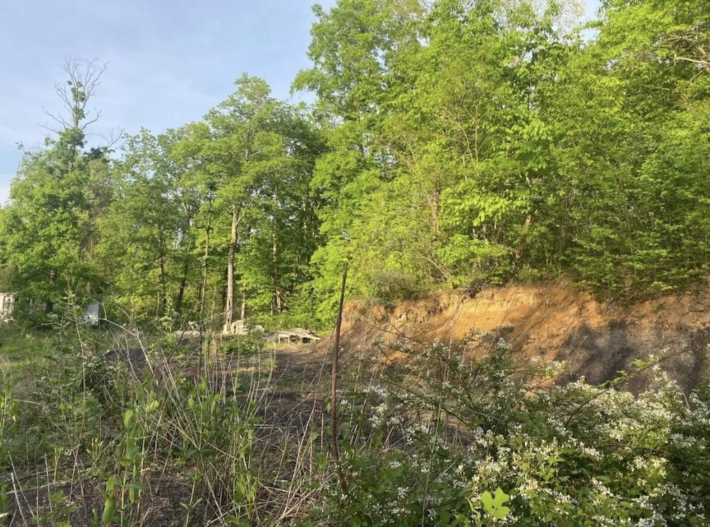 4421 Leeco Rd, Wendover, KY 41775 - photo 4