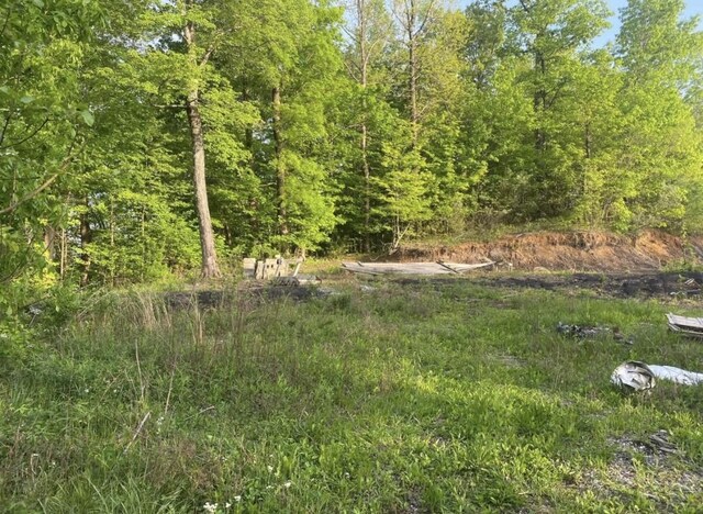 4421 Leeco Rd, Wendover, KY 41775 - photo 3