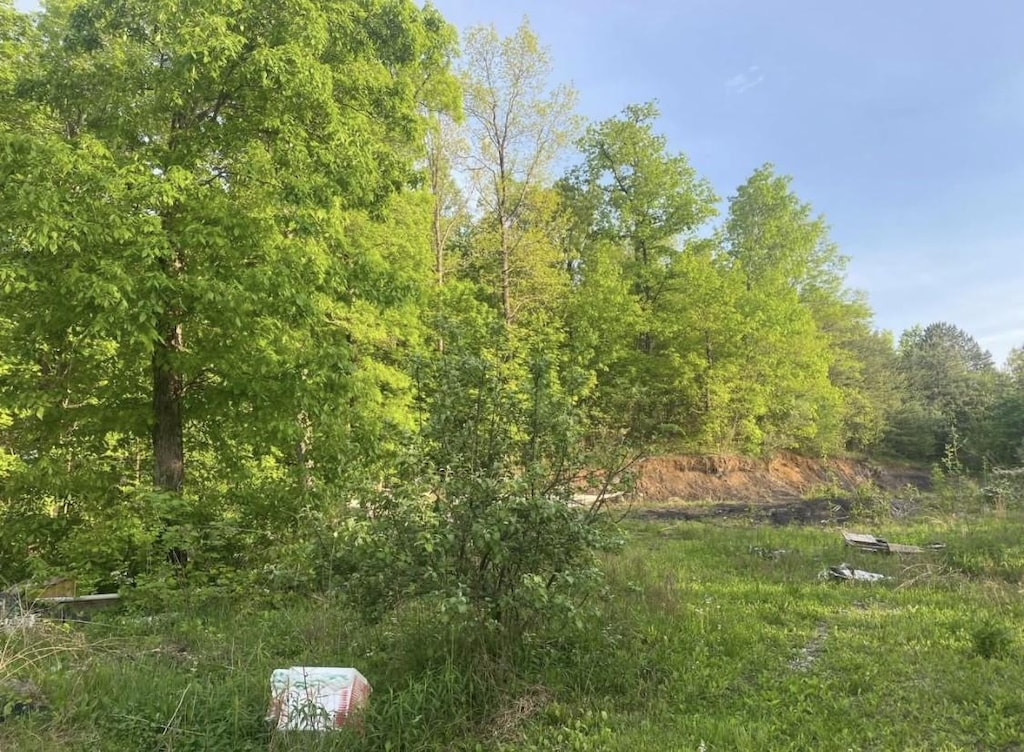 4421 Leeco Rd, Wendover, KY 41775 - photo 2