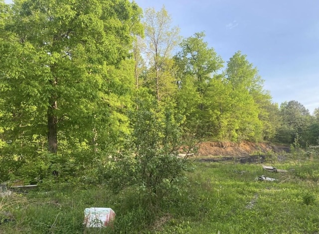4421 Leeco Rd, Wendover, KY 41775 - photo 2
