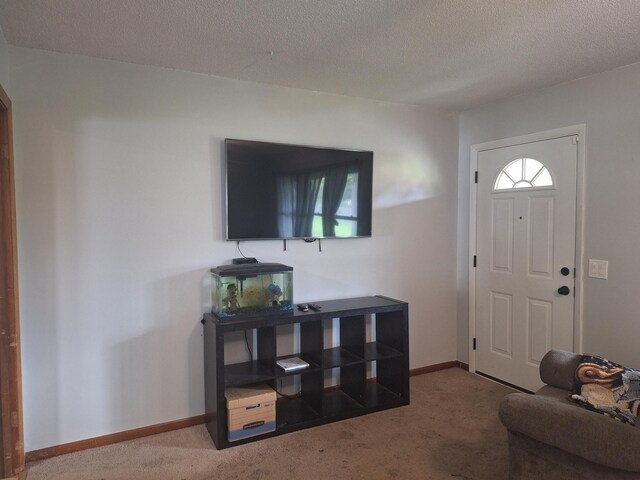 317 Gale Ln, Lawrenceburg, TN 38464 - photo 21
