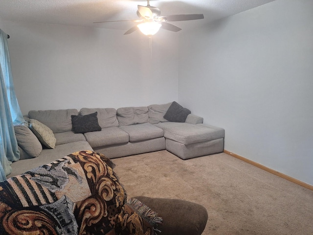 317 Gale Ln, Lawrenceburg, TN 38464 - photo 23