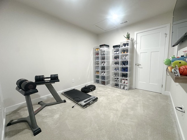 101 Percheron Pl, Smyrna, TN 37167 - workout area with carpet flooring
