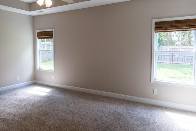 1167 Ewing Way, Clarksville, TN 37043 - photo 34
