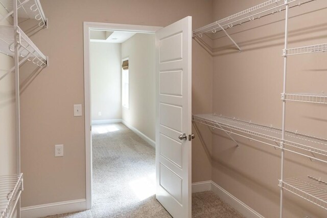 1167 Ewing Way, Clarksville, TN 37043 - photo 32