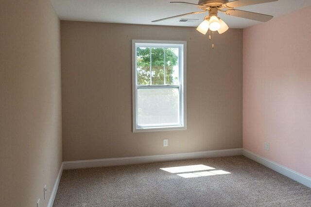 1167 Ewing Way, Clarksville, TN 37043 - photo 51